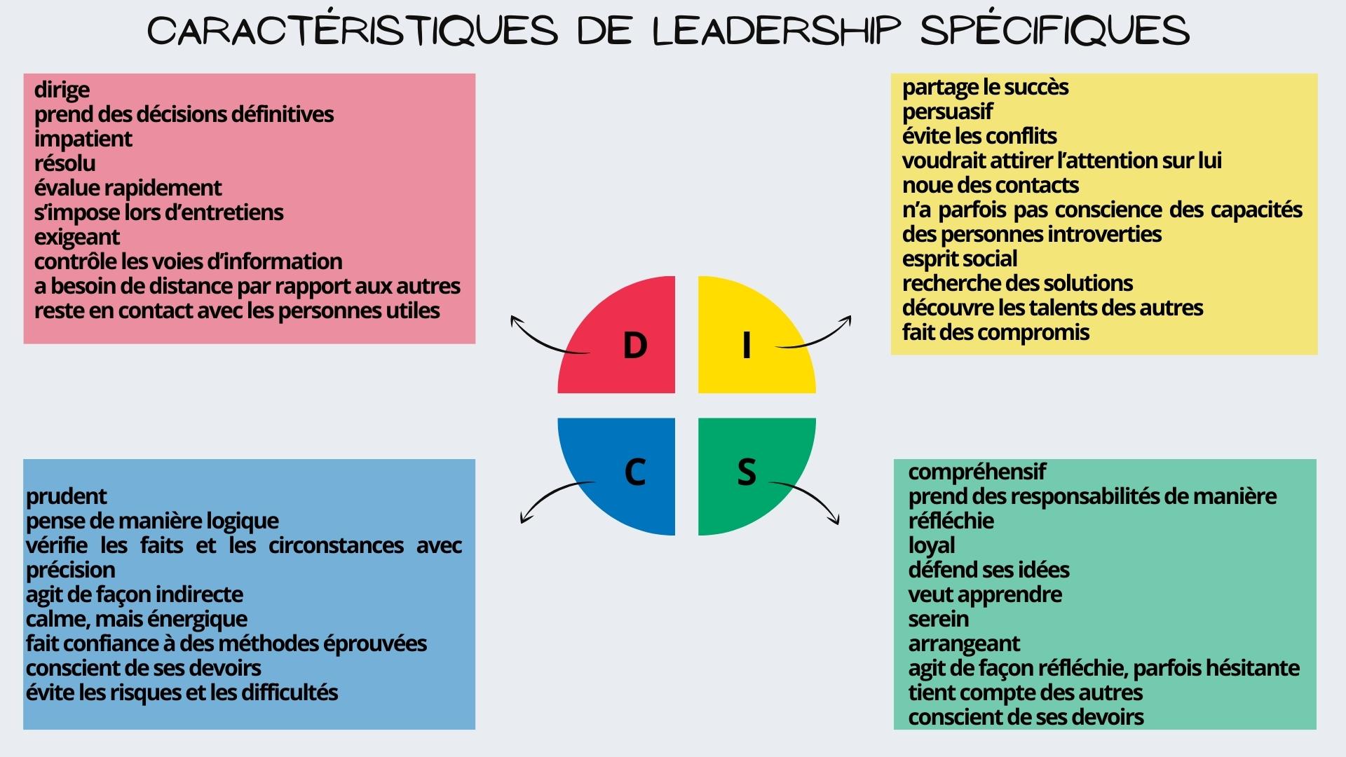 DISC LEADERSHIP DISC LEADERSHIP.jpg