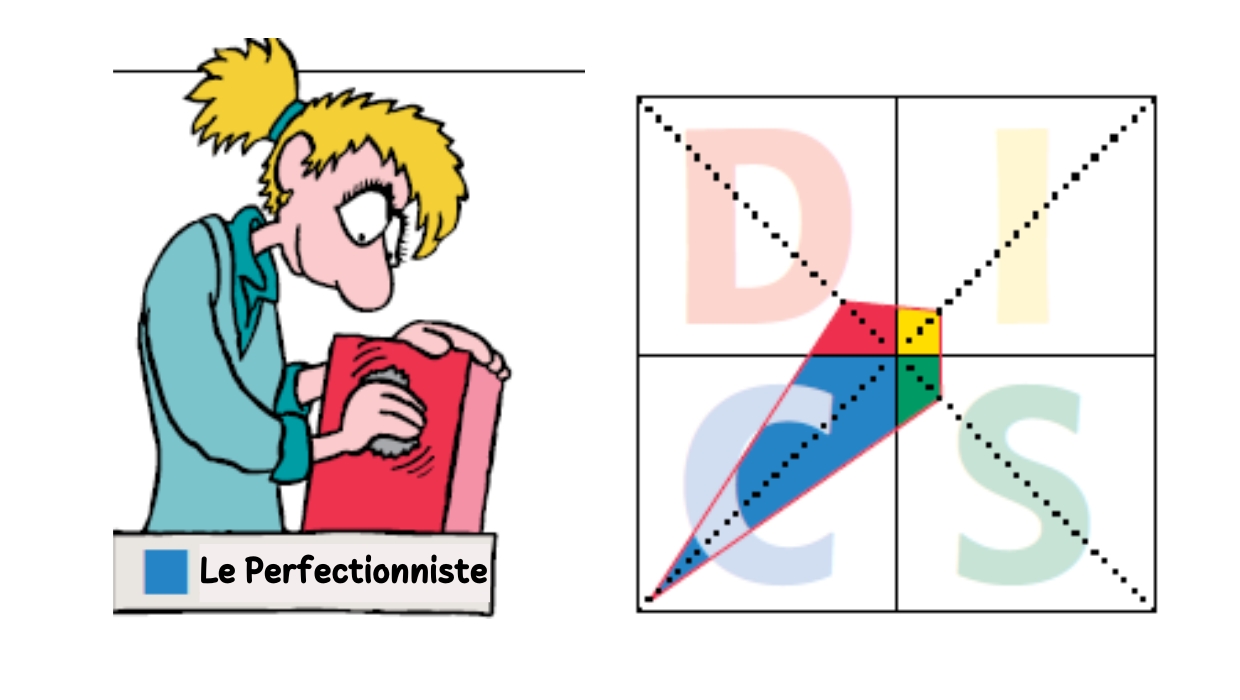 le perfectionniste.jpg